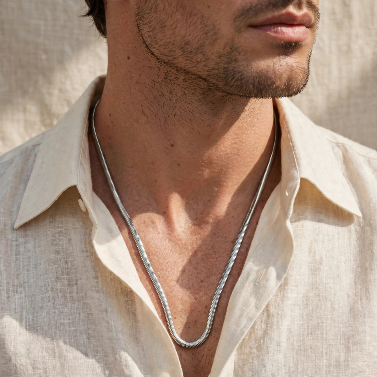 Snake Silver Neck Chain